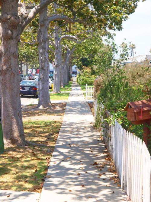 Culver City Escape With Pool, Near Disneyland Park! Los Angeles Buitenkant foto